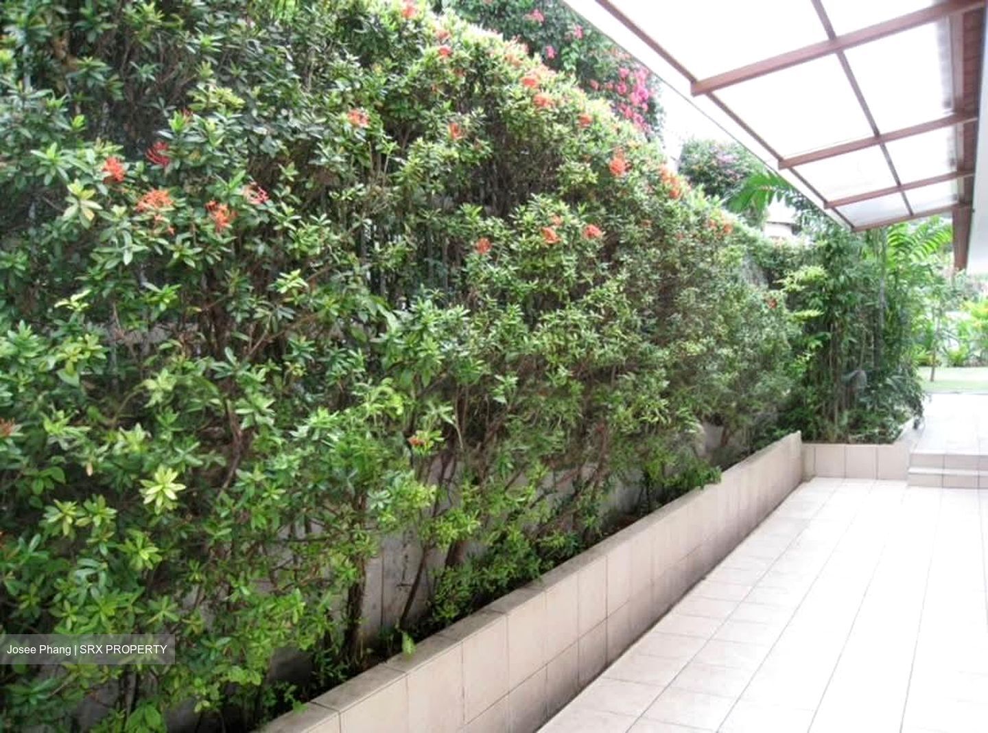 Elite Court (D15), Terrace #559225951